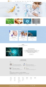 網(wǎng)頁(yè)與網(wǎng)站設(shè)計(jì) 構(gòu)建數(shù)字世界的藝術(shù)與科學(xué)